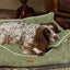 Joules Gilmorton Dog Sofa Apple