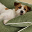 Joules Gilmorton Dog Sofa Apple