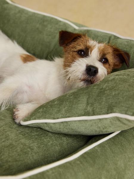 Joules Gilmorton Dog Sofa Apple