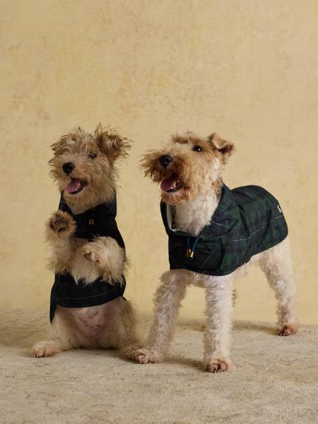 Joules Blackwatch Check Packaway Jacket