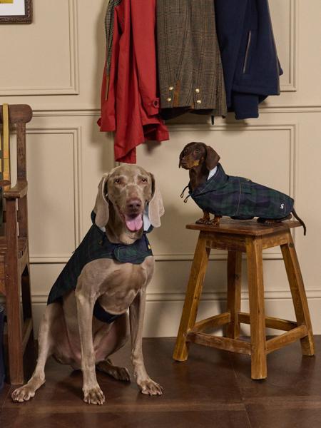 Joules Blackwatch Check Packaway Jacket