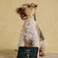 Joules Blackwatch Check Packaway Jacket