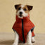 Joules Moorsale Reversable Ketchup Puffer Coat