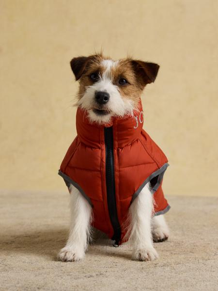 Joules Moorsale Reversable Ketchup Puffer Coat