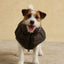 Joules Moorsale Reversable Ketchup Puffer Coat
