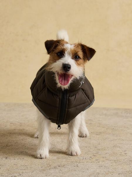 Joules Moorsale Reversable Ketchup Puffer Coat