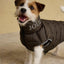 Joules Moorsale Reversable Ketchup Puffer Coat
