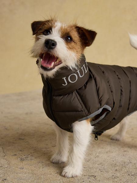 Joules Moorsale Reversable Ketchup Puffer Coat