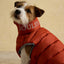 Joules Moorsale Reversable Ketchup Puffer Coat