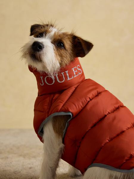 Joules Moorsale Reversable Ketchup Puffer Coat
