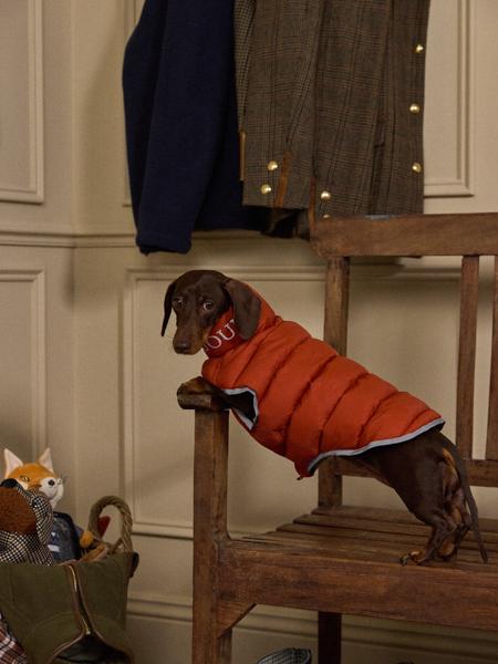 Joules Moorsale Reversable Navy Puffer Coat