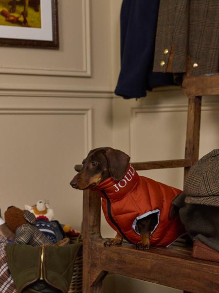 Joules Moorsale Reversable Navy Puffer Coat