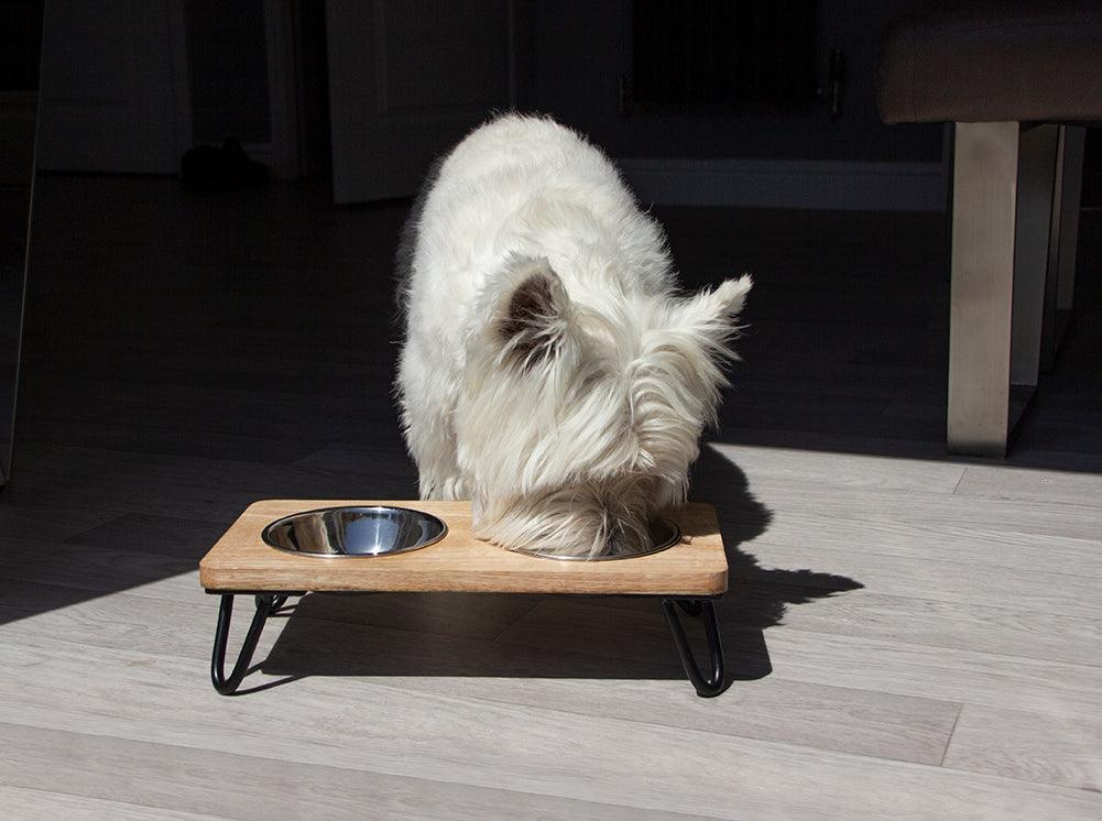 Rosewood Wooden Double Diner - 350ml X 2 - Ormskirk Pets