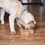 Rosewood Wooden Paw Print Bowl 600ml - Ormskirk Pets