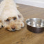 Rosewood Deluxe Steel Bowls Grub Steel Pet Bowl