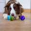 Rosewood Battersea Tennis Balls (3PC) - Ormskirk Pets