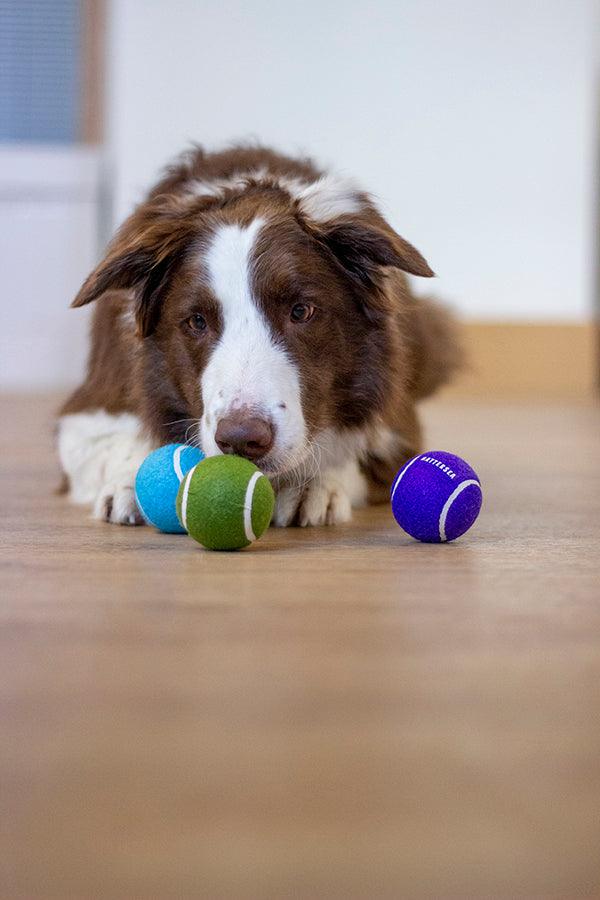 Rosewood Battersea Tennis Balls (3PC) - Ormskirk Pets