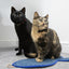 Rosewood Battersea Fish Scratcher