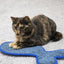 Rosewood Battersea Fish Scratcher