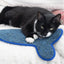 Rosewood Battersea Fish Scratcher