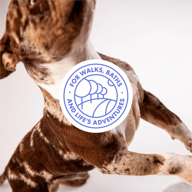 DotDotPet Mini Eco Dog Towels 10pk