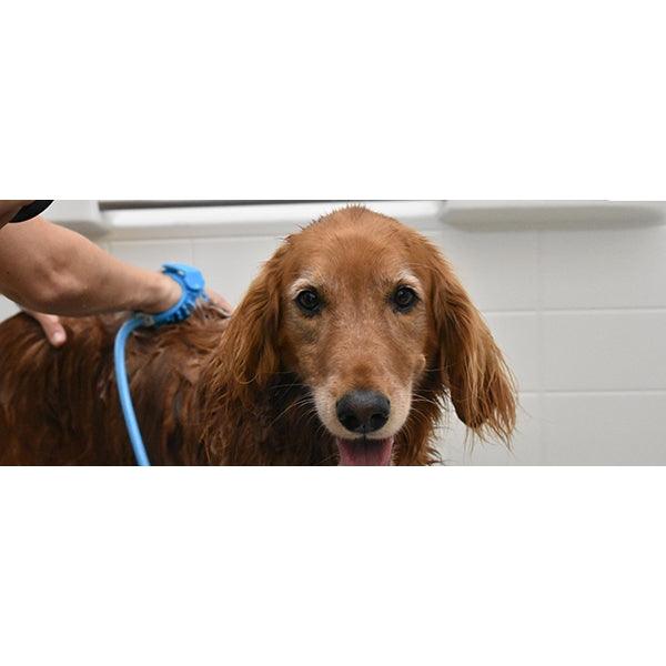 Rosewood Pet Bathing Tool - Ormskirk Pets