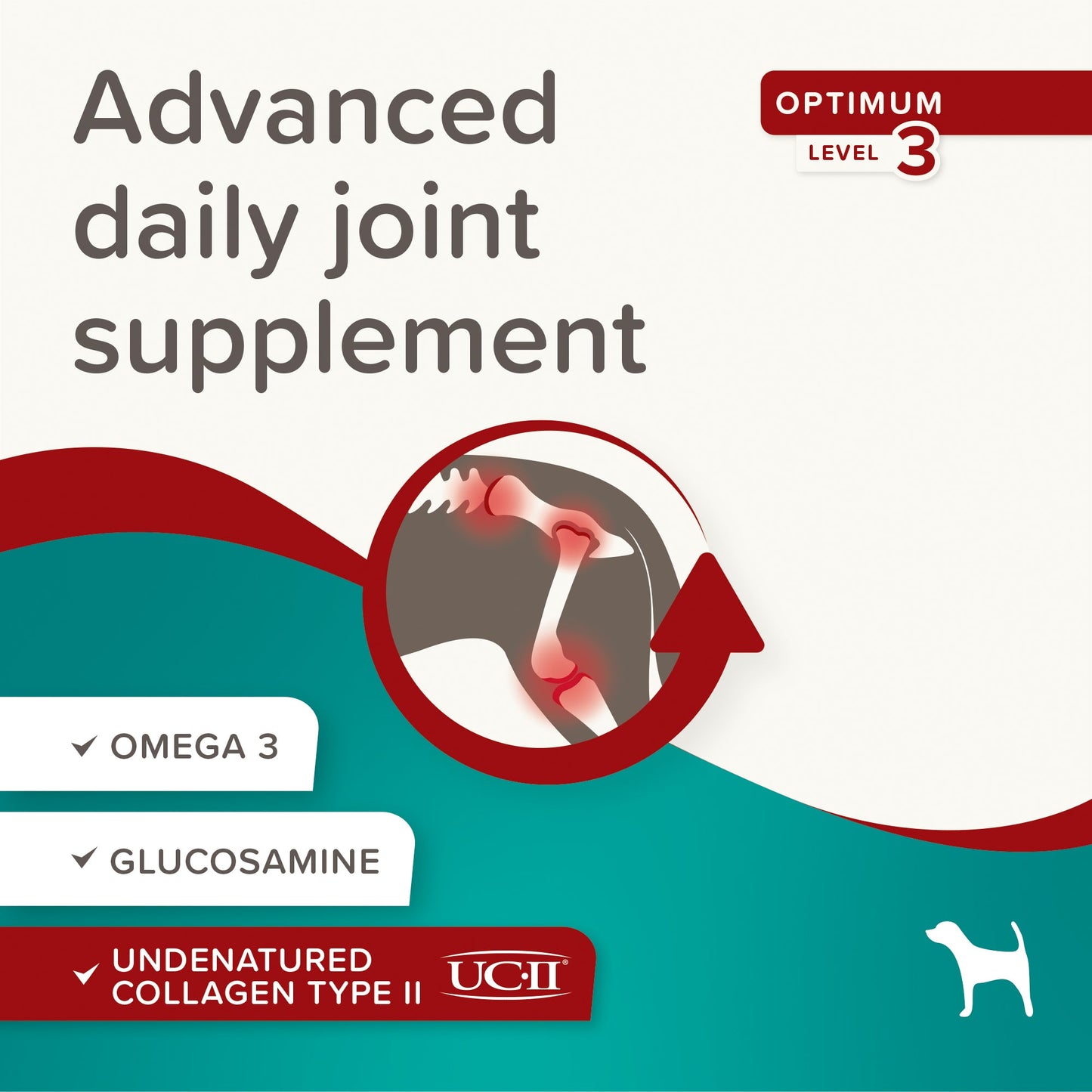 Beaphar Flexifit Optimum UC-II Joint Supplement Chews for Dogs 30 Chews 175g