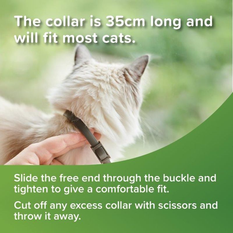 BEAPHAR VETOPURE REFLECTIVE CAT COLLAR  SINGLE