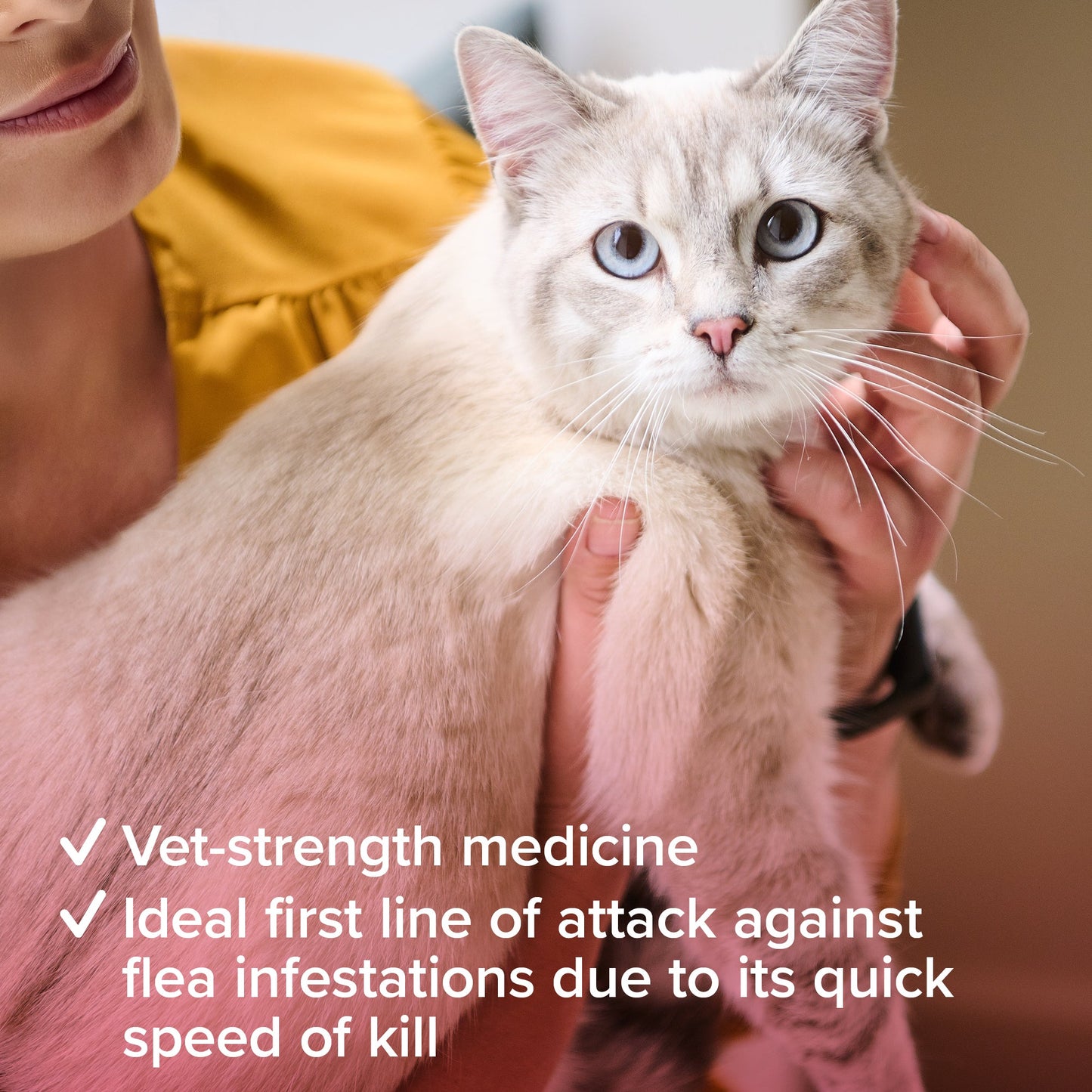 Beaphar Flea Tablets For Cats 6 Tablets