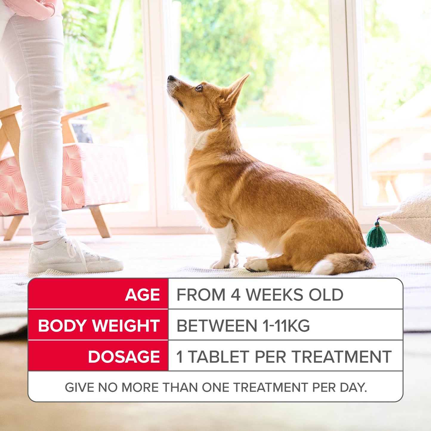 Beaphar Flea Tablets For Small Dogs 3 Tablets