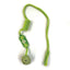 Tabby Patch Pea Pod Cat Bungee