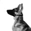 M-PETS Flexi Muzzle