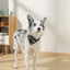 M-PETS Wild Jungle Bandana