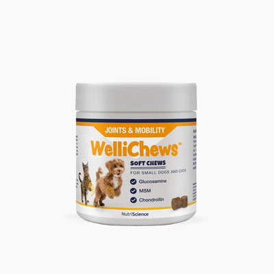 Wellichews Joints & Mobility Soft Chews