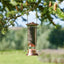 Harrisons Cast Copper Plated Nyger Feeder 20cm - Ormskirk Pets