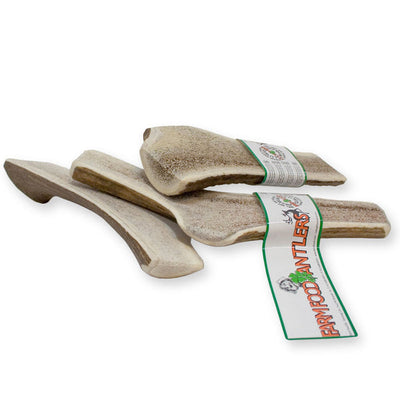 Farm Food Easy Chew Half Deer Antler For Dogs