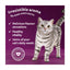 Whiskas Pouches 1+ Adult Cat Aromatic Selection Fragrant Fusions In Gravy 12X85G