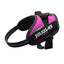 Julius-K9 IDC Power Harness Dark Pink