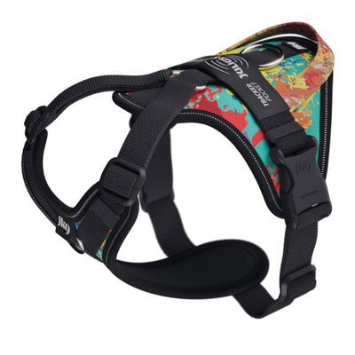 Julius-K9 Longwalk Dog Harness Crazy