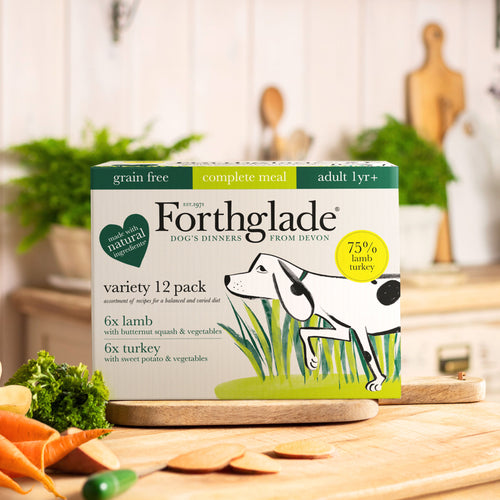 FORTHGLADE COMPLETE MEAL ADULT DOG GRAIN FREE LAMB & TURKEY 12 X 395G