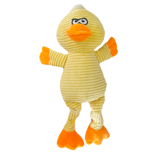 Cordy Duck
