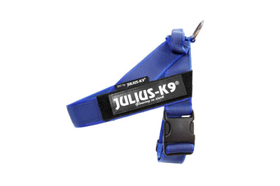 Julius-K9 IDC Belt Harness Blue & Grey