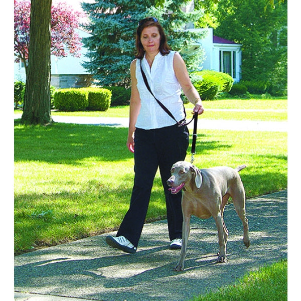 Rosewood Coastal Training  Leads Multi Function Nylon Dog Lead
