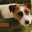 Joules Chesterfield Pet Bed Khaki