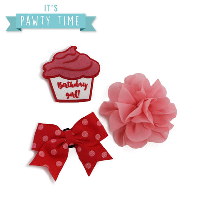 Ancol Its My Birthday Collar Accessories Pink - Ormskirk Pets