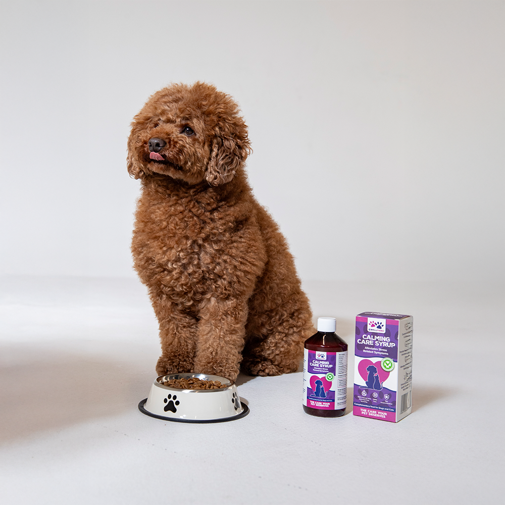 WellPaws Calming Care Syrup 300ml