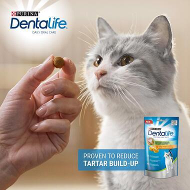 Dentalife Cat Chicken 140G - Ormskirk Pets