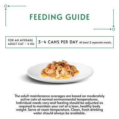 Gourmet Natures Creations Chicken, Tomato & Spinach 12X85G - Ormskirk Pets