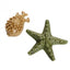 Elkwood 100% Natural Vegetable Sea Creatures + Seaweed Medium 6PK 160g