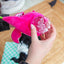 Rosewood Cooling Dragonfruit Dragon